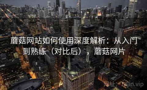 蘑菇网站如何使用深度解析：从入门到熟练（对比后），蘑菇网片