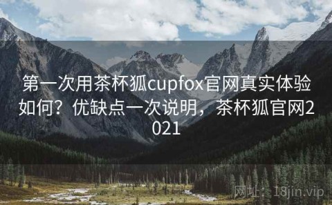 第一次用茶杯狐cupfox官网真实体验如何？优缺点一次说明，茶杯狐官网2021