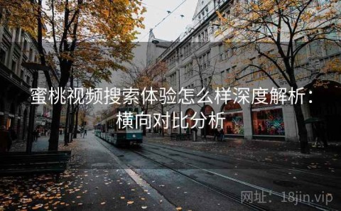 蜜桃视频搜索体验怎么样深度解析：横向对比分析