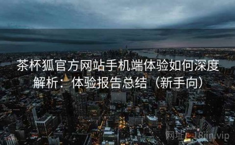 茶杯狐官方网站手机端体验如何深度解析：体验报告总结（新手向）