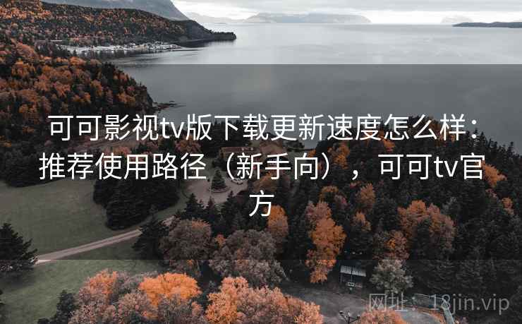 可可影视tv版下载更新速度怎么样：推荐使用路径（新手向），可可tv官方