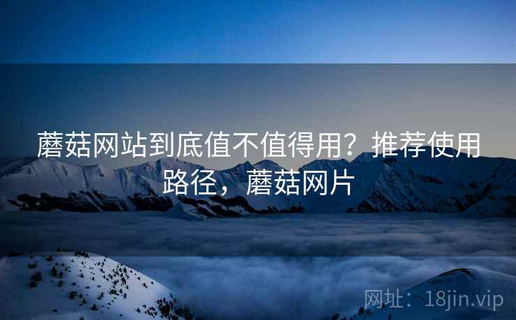 蘑菇网站到底值不值得用？推荐使用路径，蘑菇网片