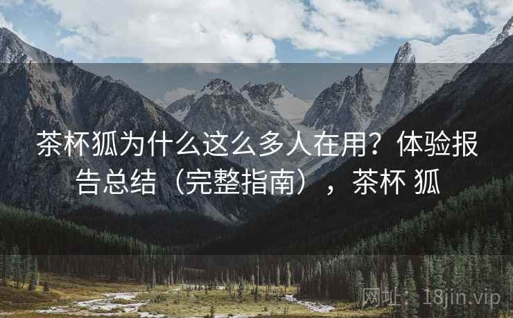 茶杯狐为什么这么多人在用？体验报告总结（完整指南），茶杯 狐