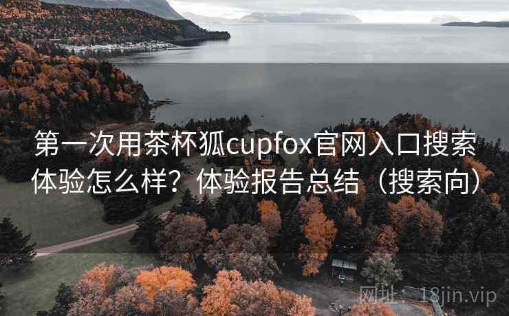 第一次用茶杯狐cupfox官网入口搜索体验怎么样?体验报告总结(搜索向) 第一次用茶杯狐cupfox官网入口搜索体验怎么样?体验报告总结(搜索向)